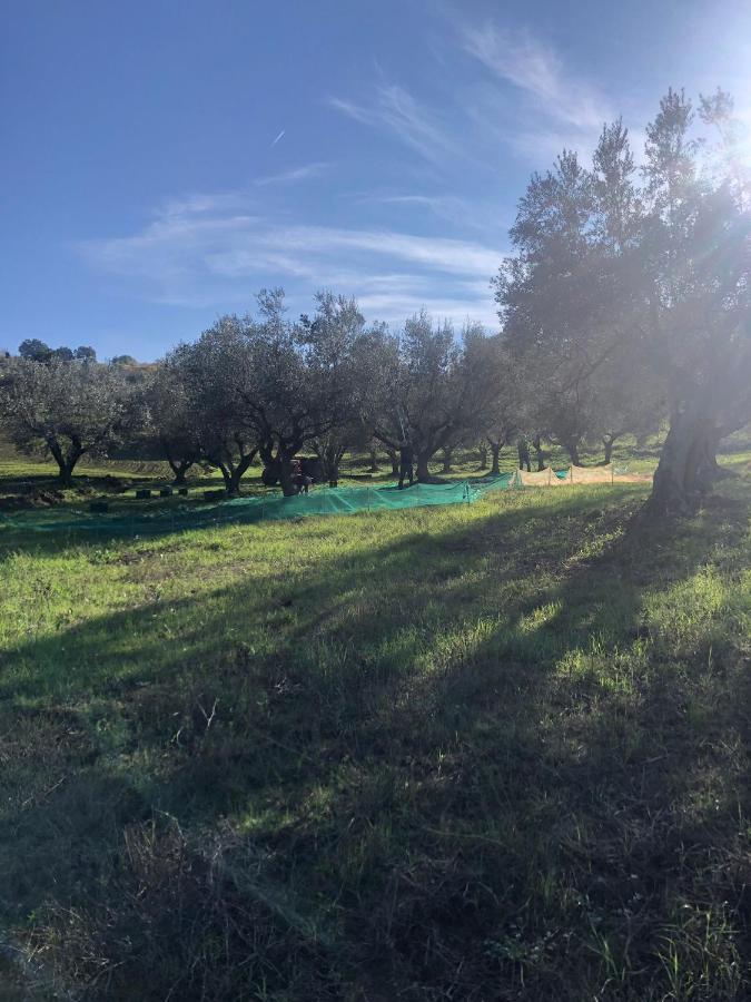 B&B La Casa di Giuliana Cermignano Esterno foto
