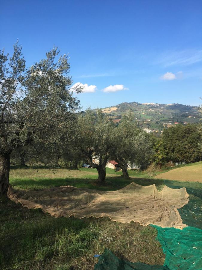 B&B La Casa di Giuliana Cermignano Esterno foto