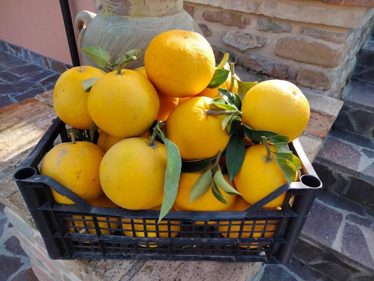 B&B La Casa di Giuliana Cermignano Esterno foto