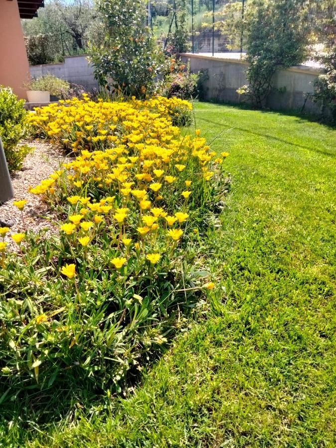 B&B La Casa di Giuliana Cermignano Esterno foto