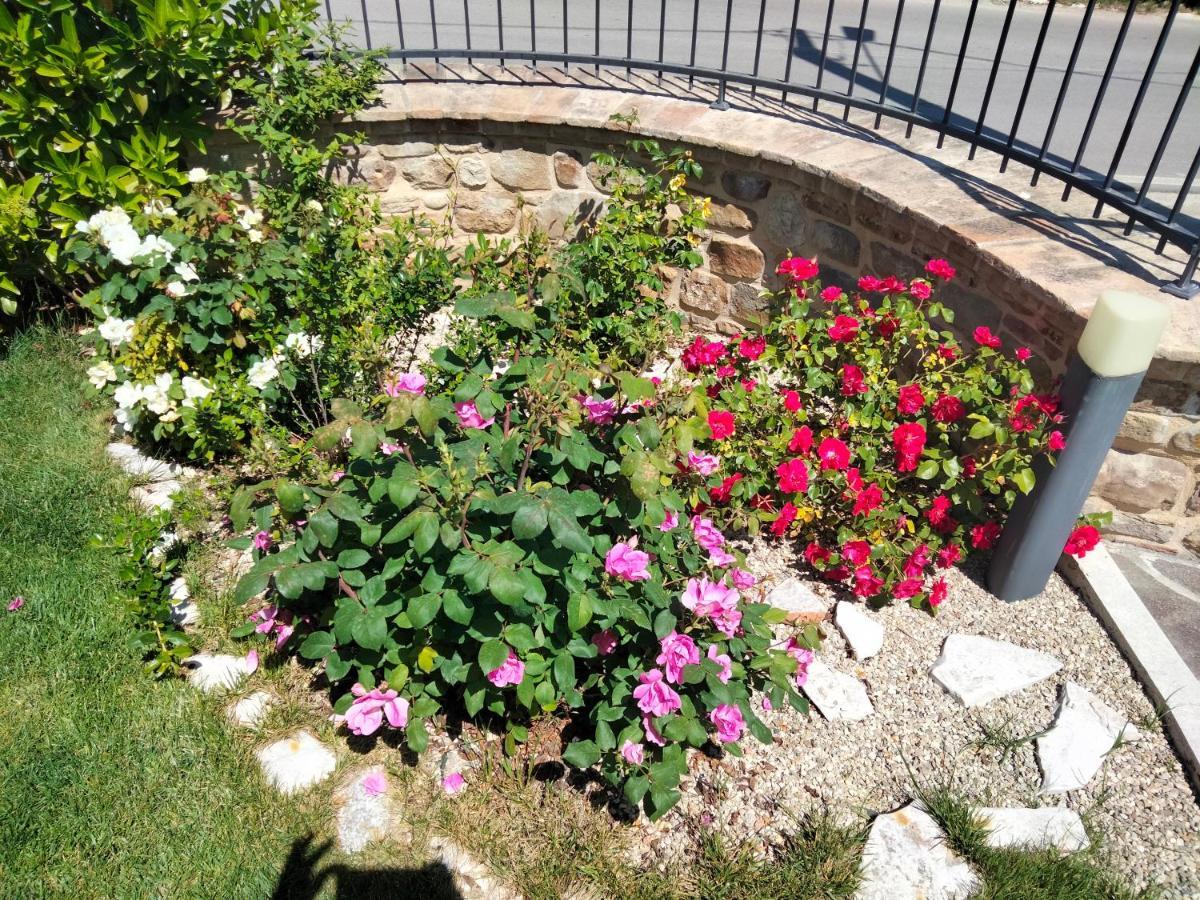 B&B La Casa di Giuliana Cermignano Esterno foto